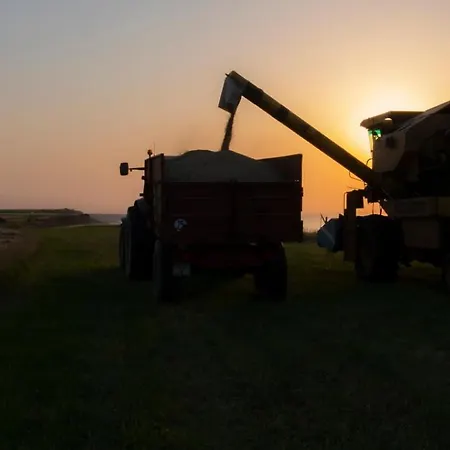 Mary And Frank 게스트하우스