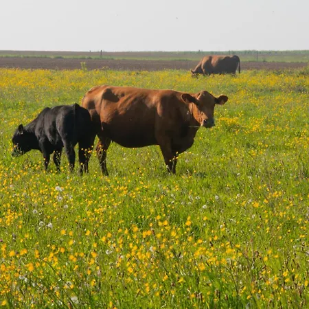 Mary And Frank 게스트하우스