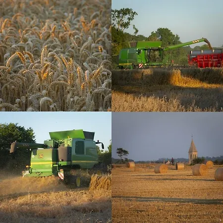 Mary And Frank 게스트하우스 4*