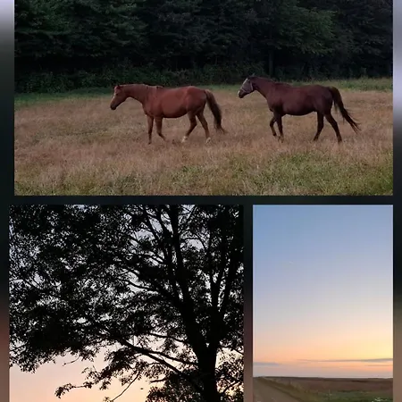 게스트하우스 Mary And Frank