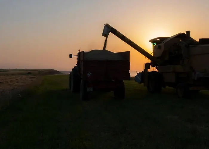 Mary And Frank Affittacamere