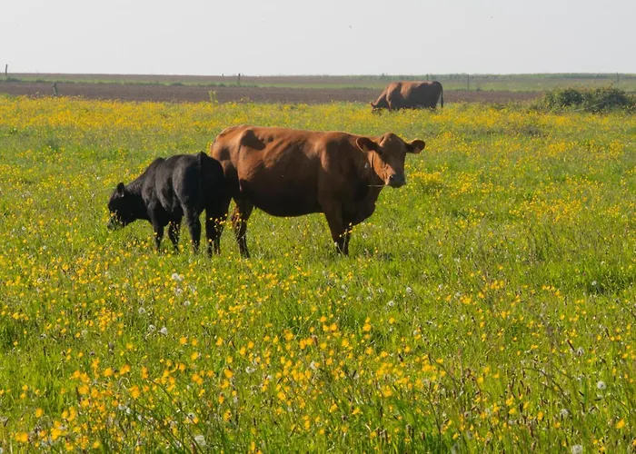 Mary And Frank Affittacamere