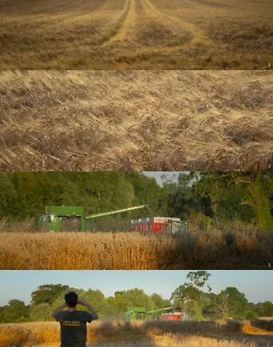 Mary And Frank Affittacamere Manvieux