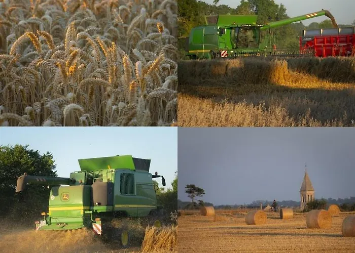 Mary And Frank Affittacamere 4*