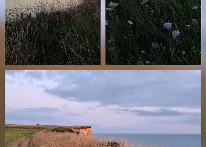 Affittacamere Mary And Frank