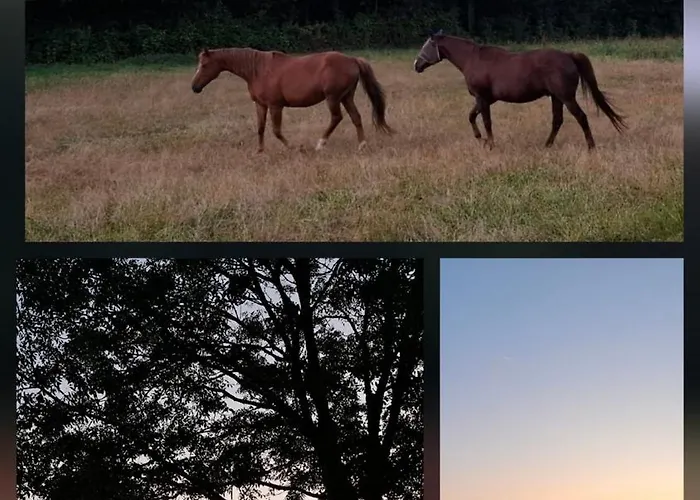 Affittacamere Mary And Frank